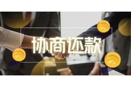 海盐海盐的要账公司在催收过程中的策略和技巧有哪些？